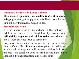 Vitamin C Synthesis in Lower Animals
The enzyme L-gulonolactone oxidase is absent in human
beings, primates, guinea pigs and bats. Hence ascorbic acid
cannot be synthesized by human beings.
Essential Pentosuria
It is an inborn error of metabolism. In the pathway, L-
xylulose is converted to D-xylulose by two enzymes,
xylitol dehydrogenase and xylulose reductase. Absence of
any of these enzymes leads to pentosuria.
L-xylulose is excreted in urine and gives a positive
Benedict’s test. Barbiturates, aminopyrine, etc. will induce
uronic acid pathway and will increase xylulosuria in such
patients. This condition does not produce any harm; but it
should be differentiated from diabetes mellitus.
 
