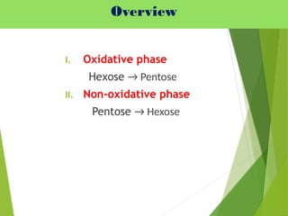 Overview
I. Oxidative phase
Hexose → Pentose
II. Non-oxidative phase
Pentose → Hexose
 