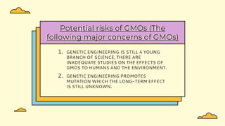 Potential risks of GMOs (The
following major concerns of GMOs)
1. GENETIC ENGINEERING IS STILL A YOUNG
BRANCH OF SCIENCE, THERE ARE
INADEQUATE STUDIES ON THE EFFECTS OF
GMOS TO HUMANS AND THE ENVIRONMENT.
2. GENETIC ENGINEERING PROMOTES
MUTATION WHICH THE LONG-TERM EFFECT
IS STILL UNKNOWN.
 