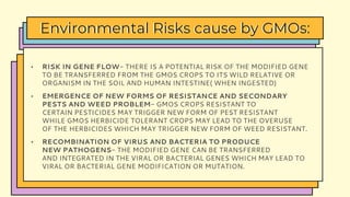 • RISK IN GENE FLOW- THERE IS A POTENTIAL RISK OF THE MODIFIED GENE
TO BE TRANSFERRED FROM THE GMOS CROPS TO ITS WILD RELATIVE OR
ORGANISM IN THE SOIL AND HUMAN INTESTINE( WHEN INGESTED)
• EMERGENCE OF NEW FORMS OF RESISTANCE AND SECONDARY
PESTS AND WEED PROBLEM- GMOS CROPS RESISTANT TO
CERTAIN PESTICIDES MAY TRIGGER NEW FORM OF PEST RESISTANT
WHILE GMOS HERBICIDE TOLERANT CROPS MAY LEAD TO THE OVERUSE
OF THE HERBICIDES WHICH MAY TRIGGER NEW FORM OF WEED RESISTANT.
• RECOMBINATION OF VIRUS AND BACTERIA TO PRODUCE
NEW PATHOGENS- THE MODIFIED GENE CAN BE TRANSFERRED
AND INTEGRATED IN THE VIRAL OR BACTERIAL GENES WHICH MAY LEAD TO
VIRAL OR BACTERIAL GENE MODIFICATION OR MUTATION.
Environmental Risks cause by GMOs:
 