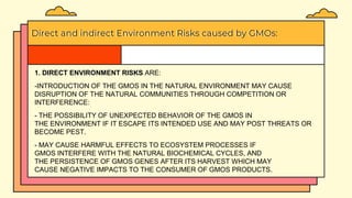 Direct and indirect Environment Risks caused by GMOs:
1. DIRECT ENVIRONMENT RISKS ARE:
-INTRODUCTION OF THE GMOS IN THE NATURAL ENVIRONMENT MAY CAUSE
DISRUPTION OF THE NATURAL COMMUNITIES THROUGH COMPETITION OR
INTERFERENCE:
- THE POSSIBILITY OF UNEXPECTED BEHAVIOR OF THE GMOS IN
THE ENVIRONMENT IF IT ESCAPE ITS INTENDED USE AND MAY POST THREATS OR
BECOME PEST.
- MAY CAUSE HARMFUL EFFECTS TO ECOSYSTEM PROCESSES IF
GMOS INTERFERE WITH THE NATURAL BIOCHEMICAL CYCLES, AND
THE PERSISTENCE OF GMOS GENES AFTER ITS HARVEST WHICH MAY
CAUSE NEGATIVE IMPACTS TO THE CONSUMER OF GMOS PRODUCTS.
 