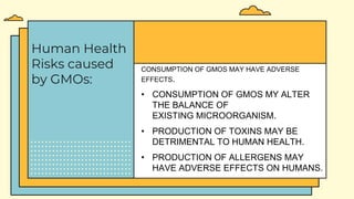 Human Health
Risks caused
by GMOs:
CONSUMPTION OF GMOS MAY HAVE ADVERSE
EFFECTS.
• CONSUMPTION OF GMOS MY ALTER
THE BALANCE OF
EXISTING MICROORGANISM.
• PRODUCTION OF TOXINS MAY BE
DETRIMENTAL TO HUMAN HEALTH.
• PRODUCTION OF ALLERGENS MAY
HAVE ADVERSE EFFECTS ON HUMANS.
 
