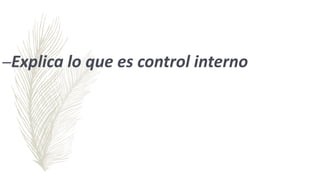 –Explica lo que es control interno
 