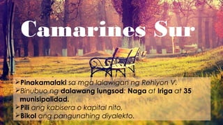 Camarines Sur
Pinakamalaki sa mga lalawigan ng Rehiyon V.
Binubuo ng dalawang lungsod: Naga at Iriga at 35
munisipalidad.
Pili ang kabisera o kapital nito,
Bikol ang pangunahing diyalekto.
 