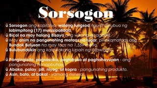 Sorsogon
ü Sorsogon ang kapitolyo, walang lungsod ngunit binubuo ng
labimpitong (17) munisipalidad.
ü Bicol na may halong Bisaya ang wikang ginagamit.
ü May anim na pangunahing mataas na lugar, pinakamataas ang
Bundok Bulusan na may taas na 1,559 metro.
ü Bulubundukin ang kalawakang lupain ng lalawigan.
ü Pangingisda, pagsasaka, pagtotroso at paghahayupan - ang
pangunahing hanapbuhay.
ü Abaka, palay, pili, niyog, at kopra - pangunahing produkto.
ü Asin, bato, at bakal - yamang mineral.
 