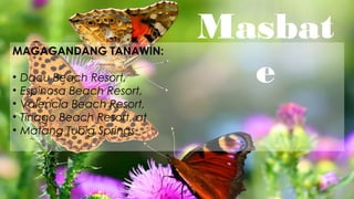 Masbat
e
MAGAGANDANG TANAWIN:
• Dacu Beach Resort,
• Espinosa Beach Resort,
• Valencia Beach Resort,
• Tinago Beach Resort, at
• Matang Tubig Springs.
 