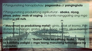 Pangunahing hanapbuhay: pagsasaka at pangingisda
Pangunahing produktong agrikultural - abaka, niyog,
pinya, palay, mais at saging. Sa kanila nanggaling ang mga
balitang pili nuts.
Mayaman sa produktong metal - ginto, pilak at kromo. Pati
di-metal: buhangin, graba, uling, apog, perlita, silica marmol,
buhanging itim, buhanging puti, guano, at asin.
Kilala ang Bicol na “Ibalon mula sa salitang Ibalio” - ilipat
sa kabilang paligid o mga taong marunong tumanggap ng
panauhin.
 