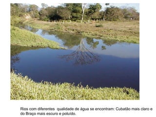 Rios com diferentes qualidade de água se encontram: Cubatão mais claro e
do Braço mais escuro e poluído.
 