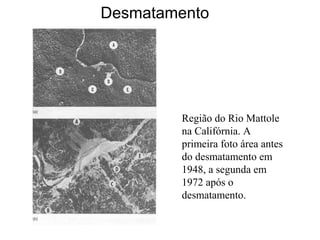 Região do Rio Mattole
na Califórnia. A
primeira foto área antes
do desmatamento em
1948, a segunda em
1972 após o
desmatamento.
Desmatamento
 