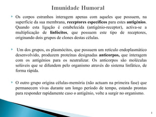   Os corpos estranhos interagem apenas com aqueles que possuem, na
    superfície da sua membrana, receptores específicos para estes antigénios.
    Quando esta ligação é estabelecida (antigénio-receptor), activa-se a
    multiplicação de linfócitos, que possuem este tipo de receptores,
    originando dois grupos de clones destas células.

    Um dos grupos, os plasmócitos, que possuem um retículo endoplasmático
    desenvolvido, produzem proteínas designadas anticorpos, que interagem
    com os antigénios para os neutralizar. Os anticorpos são moléculas
    solúveis que se difundem pelo organismo através do sistema linfático, de
    forma rápida.

   O outro grupo origina células-memória (não actuam na primeira fase) que
    permanecem vivas durante um longo período de tempo, estando prontas
    para responder rapidamente caso o antigénio, volte a surgir no organismo.



                                                                                3
 