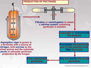 Industrial Microbiology of Molds | PPTX