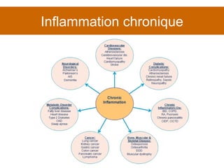 Inflammation chronique 