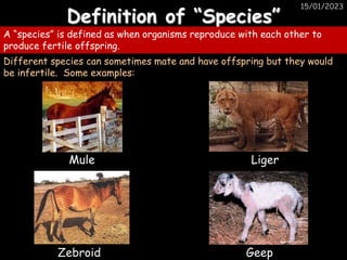 Geep Example 6 Inh Variation and Evolution.pptx