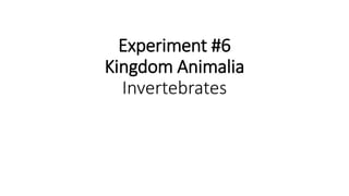 Experiment #6
Kingdom Animalia
Invertebrates
 