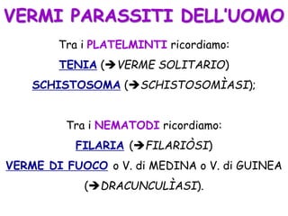 VERMI PARASSITI DELL’UOMO
Tra i PLATELMINTI ricordiamo:
TENIA (VERME SOLITARIO)
SCHISTOSOMA (SCHISTOSOMÌASI);
Tra i NEMATODI ricordiamo:
FILARIA (FILARIÒSI)
VERME DI FUOCO o V. di MEDINA o V. di GUINEA
(DRACUNCULÌASI).
 