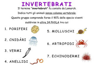 INVERTEBRA TI
Il termine “invertebrati” fu coniato da Lamarck.
Indica tutti gli animali senza colonna vertebrale.
Questo gruppo comprende forse il 90% delle specie viventi
suddivise in oltre 34 PHYLA tra cui:
1. PORIFERI
2. CNIDÀRI
3. VERMI
4. ANELLIDI
5. MOLLUSCHI
6. ARTROPODI
7. ECHINODERMI
 