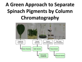 A Green Approach to Separate
 Spinach Pigments by Column
       Chromatography
 