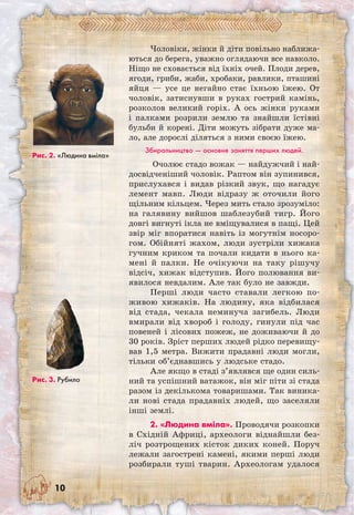 10
Чоловіки, жінки й діти повільно наближа-
ються до берега, уважно оглядаючи все навколо.
Ніщо не сховається від їхніх очей. Плоди дерев,
ягоди, гриби, жаби, хробаки, равлики, пташині
яйця — усе це негайно стає їхньою їжею. От
чоловік, затиснувши в руках гострий камінь,
розколов великий горіх. А ось жінки руками
і палками розрили землю та знайшли їстівні
бульби й корені. Діти можуть зібрати дуже ма-
ло, але дорослі діляться з ними своєю їжею.
Збиральництво — основне заняття перших людей.
Очолює стадо вожак — найдужчий і най-
досвідченіший чоловік. Раптом він зупинився,
прислухався і видав різкий звук, що нагадує
лемент мавп. Люди відразу ж оточили його
щільним кільцем. Через мить стало зрозуміло:
на галявину вийшов шаблезубий тигр. Його
довгі вигнуті ікла не вміщувалися в пащі. Цей
звір міг впоратися навіть із могутнім носоро-
гом. Обійняті жахом, люди зустріли хижака
гучним криком та почали кидати в нього ка-
мені й палки. Не очікуючи на таку рішучу
відсіч, хижак відступив. Його полювання ви­
явилося невдалим. Але так було не завжди.
Перші люди часто ставали легкою по-
живою хижаків. На людину, яка відбилася
від стада, чекала неминуча загибель. Люди
вмирали від хвороб і голоду, гинули під час
повеней і лісових пожеж, не доживаючи й до
30 років. Зріст перших людей рідко перевищу-
вав 1,5 мет­ра. Вижити прадавні люди могли,
тільки об’єднавшись у людське стадо.
Але якщо в стаді з’являвся ще один силь-
ний та успішний ватажок, він міг піти зі стада
разом із декількома товаришами. Так виника-
ли нові стада прадавніх людей, що заселяли
інші землі.
2. «Людина вміла». Проводячи розкопки
в Східній Африці, археологи віднайшли без-
ліч розтрощених кісток диких коней. Поруч
лежали загострені камені, якими перші люди
розбирали туші тварин. Археологам удалося
Рис. 2. «Людина вміла»
Рис. 3. Рубило
 