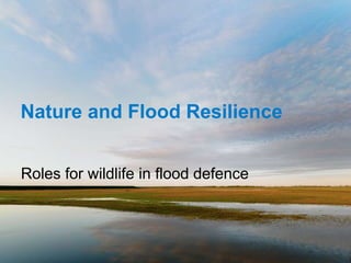 Nature and Flood Resilience
Roles for wildlife in flood defence
 