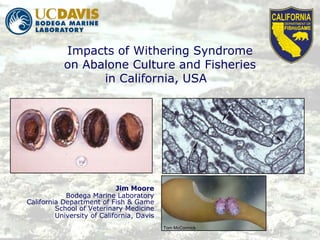Impacts of Withering Syndrome
           on Abalone Culture and Fisheries
                 in California, USA




                            Jim Moore
            Bodega Marine Laboratory
California Department of Fish & Game
         School of Veterinary Medicine
         University of California, Davis
                                           Tom McCormick
 