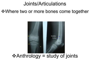 Joints/Articulations
Where two or more bones come together




    Anthrology = study of joints
 