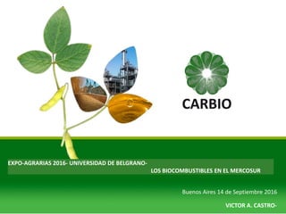 EXPO-AGRARIAS 2016- UNIVERSIDAD DE BELGRANO-
LOS BIOCOMBUSTIBLES EN EL MERCOSUR
Buenos Aires 14 de Septiembre 2016
VICTOR A. CASTRO-
 