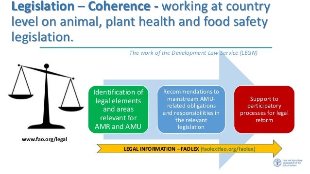 Main Areas Of Food Health And Hygiene Law Main Areas Of Food Health And Hygiene Law