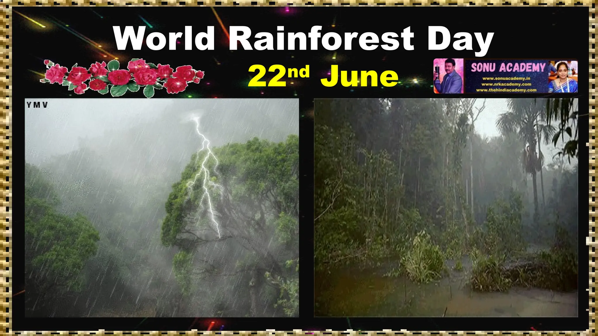 World Rainforest Day
22nd
June
 