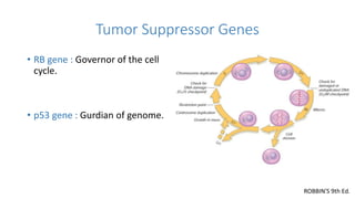cancer genetics, tumor marker and targeted therapy in cancer | PPTX