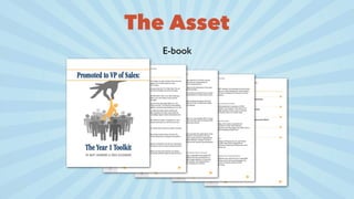 The Asset
E-book
 