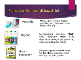 Perhatikan Gambar di bawah ini
Pasta Gigi Mengandung senyawa Fluorin
yaitu SnF2, yang digunakan untuk
Menguatkan gigi
Bayclin Mengandung senyawa Klorin
yaitu hipoklorit (OCl-) yang
digunakan sebagai pengelantang
noda/pemutih pada pakian
Garam
Beryodium
Mengandung senyawa Iodin seperti
NaI dan KI yang digunakan untuk
mencegah penyakit gondok
 