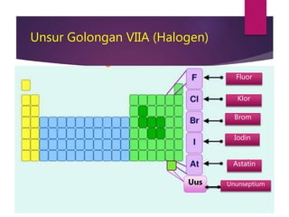 Unsur Golongan VIIA (Halogen)
Fluor
Klor
Brom
Iodin
Astatin
Uus Ununseptium
 