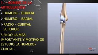 6 KINESIOLOGIA DE LA ARTICULACION DE CODO Y ANTEBRAZO.pptx