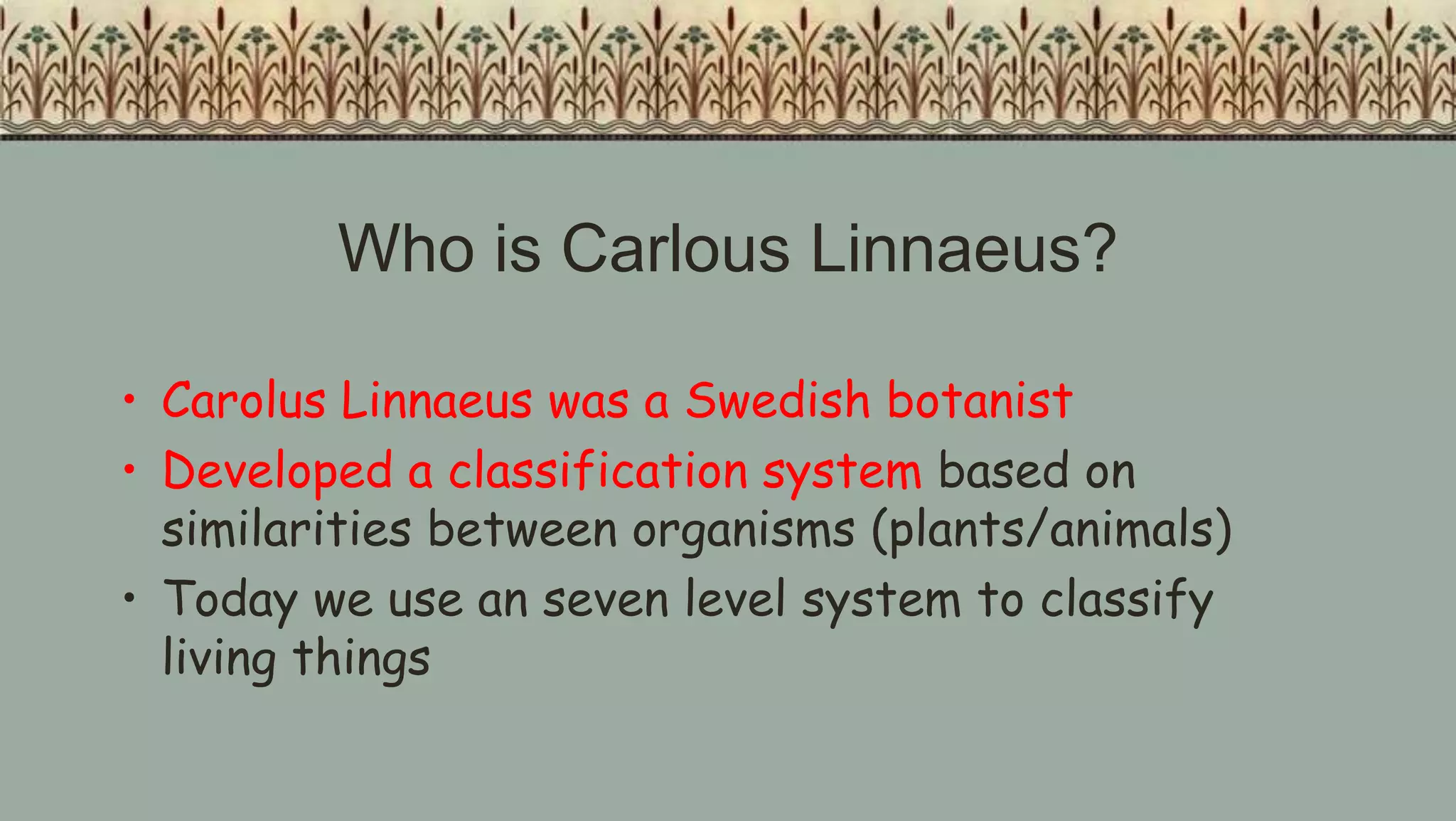 6 kingdoms classification | PPT