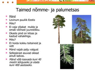 Taimed nõmme- ja palumetsas Mänd Levinum puuliik Eestis Miks? Ei vaja viljakat  mulda ja omab võimast juurestikku. Okaste pind on kitsas ja kaetud vahakihiga. Miks? Et hoida kokku toitaineid ja vett Mänd vajab palju valgust Sellepärast asuvad okkad ainult ladvas. Mänd võib kasvada kuni 40 meetri kõrguseks ja elada kuni 400 aastaseks. 