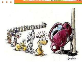 Pohl Hõredate männimetsade taim. Pohl on igihaljas taim ehk siis läbi aasta roheline. Pohl on kasulik mari: miks? Pohlamarjades on inimese jaoks parim suhkrute ja hapete tasakaal , mis teeb nad väga vastupidavaks P ohlamarjadel meie erituselundkonna tööd parandav toime :  uriinierituse soodustamiseks ja reuma raviks.  Taimed nõmme- ja palumetsas 