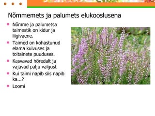 Nõmmemets ja palumets elukooslusena Nõmme ja palumetsa taimestik on kidur ja liigivaene. Taimed on kohastunud elama kuivuses ja toitainete puuduses. Kasvavad hõredalt ja vajavad palju valgust Kui taimi napib siis napib ka...? Loomi  