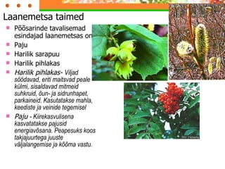 Põõsarinde tavalisemad esindajad laanemetsas on: Paju Harilik sarapuu Harilik pihlakas Harilik pihlakas-  Viljad söödavad, eriti maitsvad peale külmi, sisaldavad mitmeid suhkruid, õun- ja sidrunhapet, parkaineid. Kasutatakse mahla, keediste ja veinide tegemisel Paju  -  Kiirekasvulisena kasvatatakse pajusid energiavõsana .  Peapesuks   koos takjajuurtega juuste väljalangemise ja kõõma vastu.   Laanemetsa taimed  