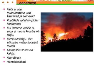 Laanemest  Mets ei püsi muutumatuna vaid kasvavad ja arenevad Puuliikide vahel on pidev konkurents Kui inimene vahele ei sega ei muutu kooslus nii palju. Metsatulekahju- üks võimalus metsa kooslust muuta Loomastikust teevad kahju: Kooreürask  Männikärsakad  