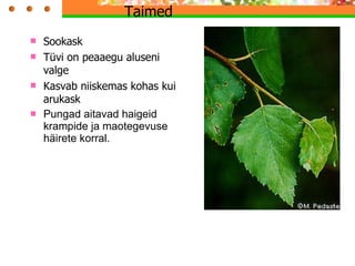 Taimed  Sookask Tüvi on peaaegu aluseni valge  Kasvab niiskemas kohas kui arukask Pungad aitavad haigeid krampide ja maotegevuse häirete korral . 