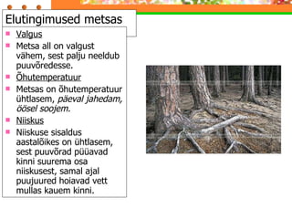 Elutingimused metsas Valgus Metsa all on valgust vähem, sest palju neeldub puuvõredesse. Õhutemperatuur Metsas on õhutemperatuur ühtlasem,  päeval jahedam, öösel soojem. Niiskus Niiskuse sisaldus aastalõikes on ühtlasem, sest puuvõrad püüavad kinni suurema osa niiskusest, samal ajal puujuured hoiavad vett mullas kauem kinni. 