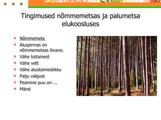 Tingimused nõmmemetsas ja palumetsa elukoosluses Nõmmemets  Aluspinnas on nõmmemetsas liivane. Vähe toitaineid  Vähe vett Vähe alustaimestikku Palju valgust Peamine puu on ... Mänd 