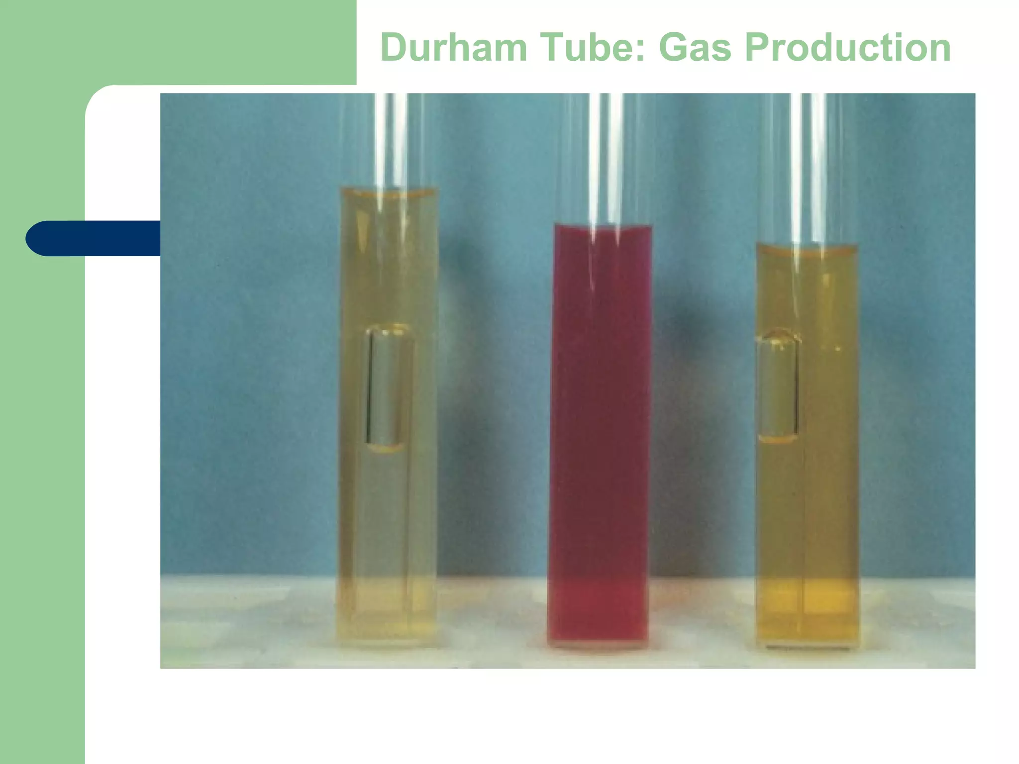 Durham Tube: Gas Production
 