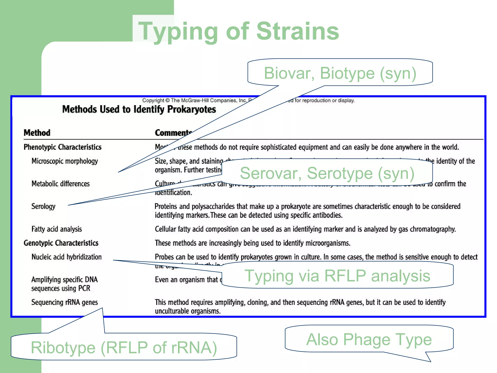 Typing of Strains
Biovar, Biotype (syn)
Serovar, Serotype (syn)
Typing via RFLP analysis
Ribotype (RFLP of rRNA) Also Phage Type
 