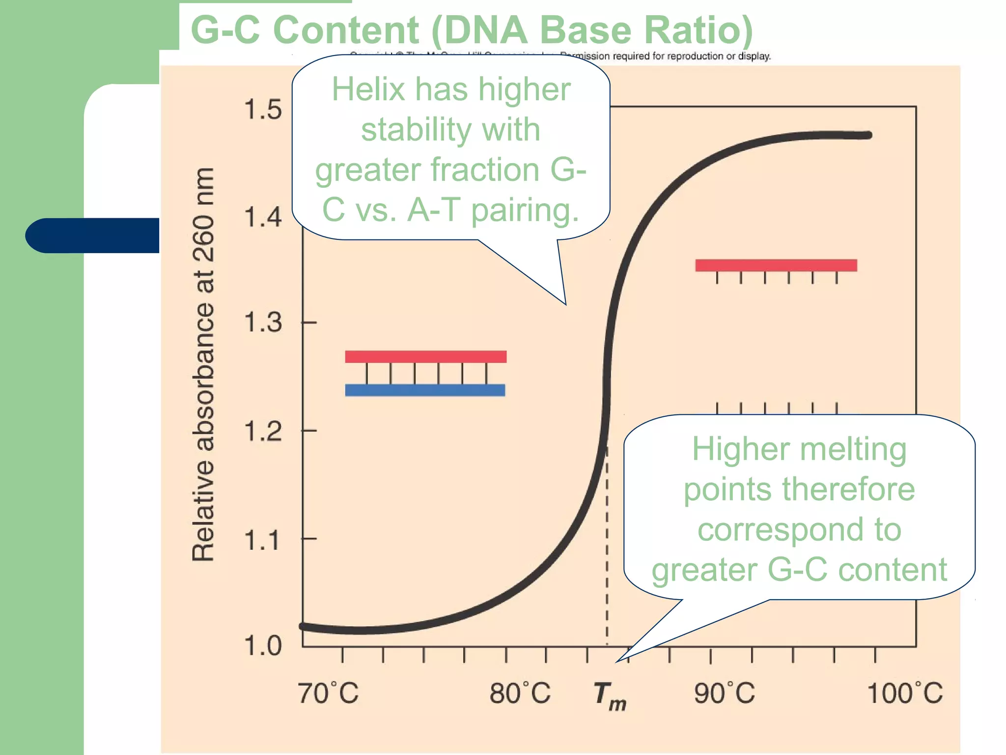 G-C Content (DNA Base Ratio)
Helix has higher
stability with
greater fraction G-
C vs. A-T pairing.
Higher melting
points therefore
correspond to
greater G-C content
 