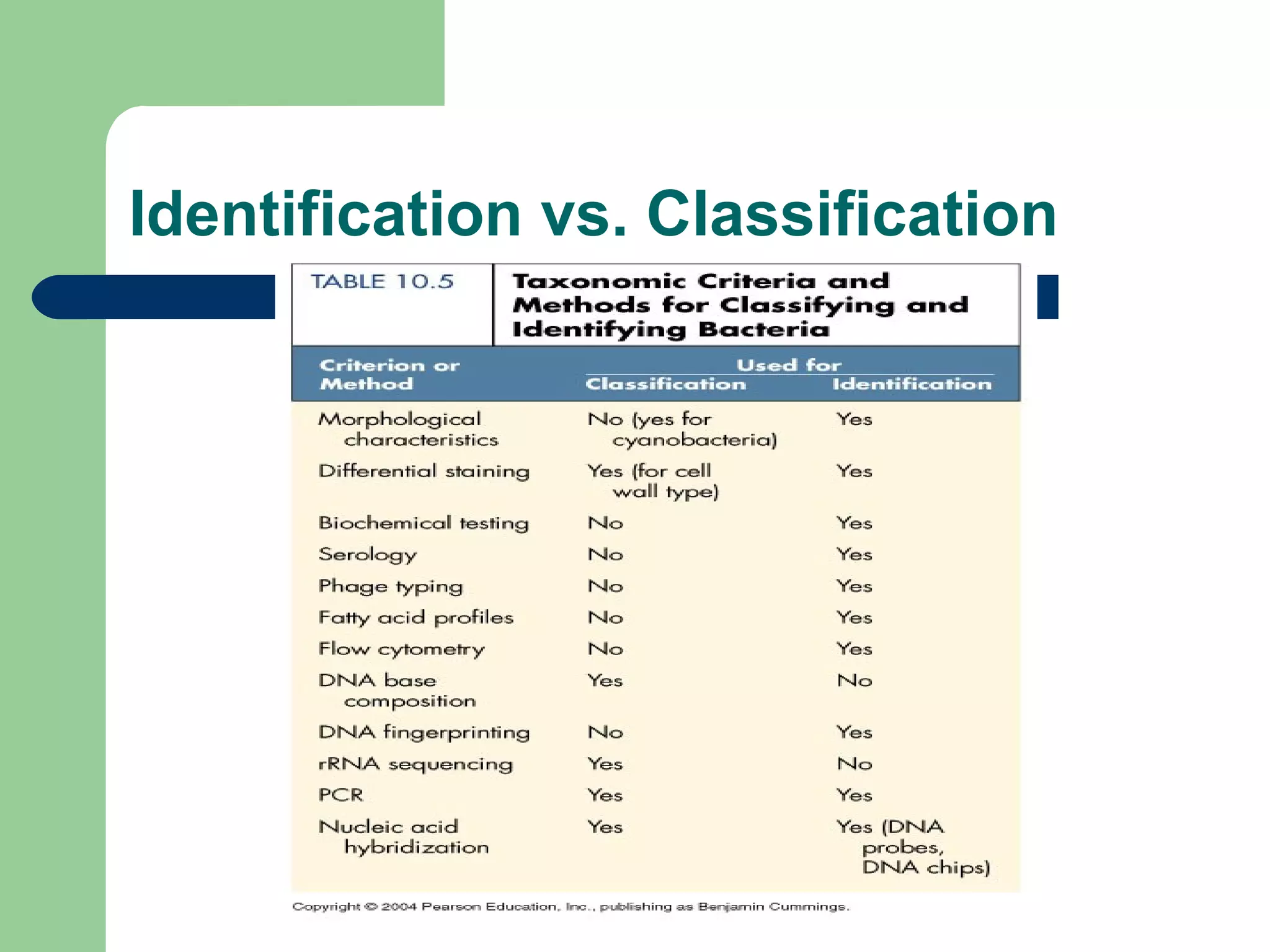 Identification vs. Classification
 