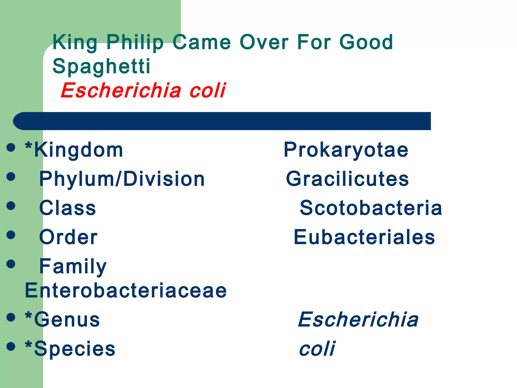 King Philip Came Over For Good
Spaghetti
Escherichia coli
 *Kingdom Prokaryotae
 Phylum/Division Gracilicutes
 Class Scotobacteria
 Order Eubacteriales
 Family
Enterobacteriaceae
 *Genus Escherichia
 *Species coli
 