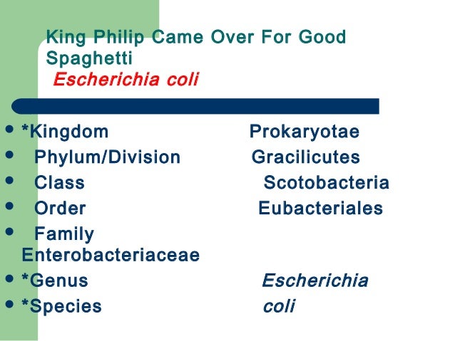 [Micro] classification of prokaryotes