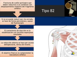 Tipo B2
El objetivo final es no comprometer la
vasculatura cefálica
La reducción abierta se hace por acceso
deltopectoral, ténica de tirante.
El tratamiento de elección es la
estabilización con tornillos esponjosos
canulados
Si no se puede reducir por vía cerrada,
se hace de forma percutánea y apoyo
de fluoroscopio
Fracturas de cuello quirúrgico que
deben reducirse si se combinan con
desplazamiento rotatorio del fragmento
cefálico
 