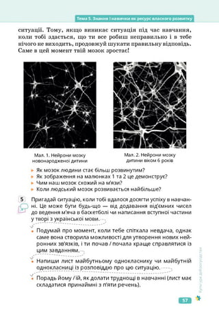 Тема 5. Знання і навички як ресурс власного розвитку
ситуації. Тому, якщо виникає ситуація під час навчання,
коли тобі здається, що ти все робиш неправильно і в тебе
нічого не виходить, продовжуй шукати правильну відповідь.
Саме в цей момент твій мозок зростає!
Мал. 1. Нейрони мозку
новонародженої дитини
Мал. 2. Нейрони мозку
дитини віком 6 років
Як мозок людини стає більш розвинутим?
Як зображення на малюнках 1 та 2 це демонструє?
Чим наш мозок схожий на м'язи?
Коли людський мозок розвивається найбільше?
5 Пригадай ситуацію, коли тобі вдалося досягти успіху в навчан­
ні. Це може бути будь-що — від додавання від'ємних чисел
до ведення м'яча в баскетболі чи написання вступної частини
у творі з української мови.
• Подумай про момент, коли тебе спіткала невдача, однак
саме вона створила можливості для утворення нових ней-
ронних зв'язків, іти почав/почала краще справлятися із
цим завданням.
-----
• Напиши лист майбутньому однокласнику чи майбутній
однокласниці із розповіддю про цю ситуацію.
'і Порадь йому /їй, як долати труднощі в навчанні (лист має
складатися принаймні з п'яти речень).
<ультура
добросусідства
57
 